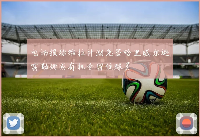 电讯报称维拉计划免签哈里威尔逊富勒姆或有机会留住球员