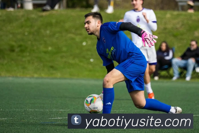 App Interface Preview